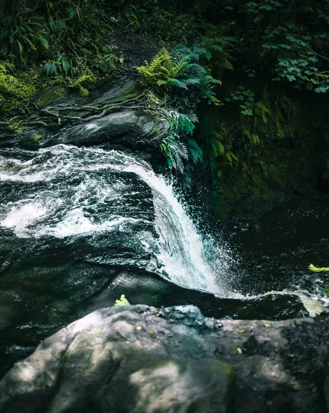 Cachoeira Floresta Acima Das Quedas — Fotografia de Stock