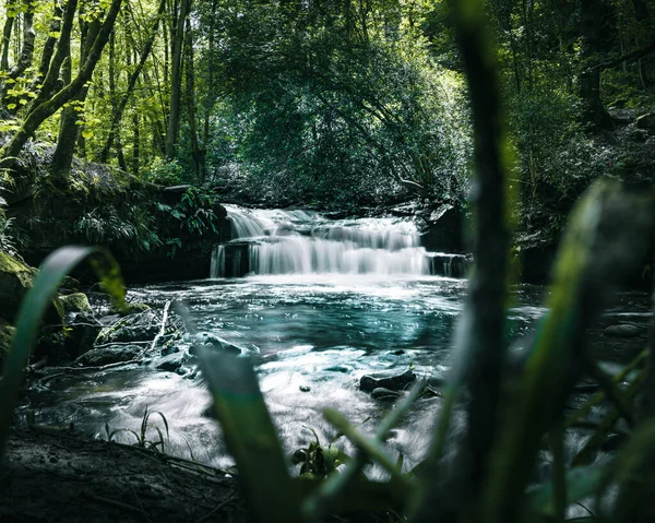 Cachoeira Floresta Córrego Queda Com Primeiro Plano — Fotografia de Stock