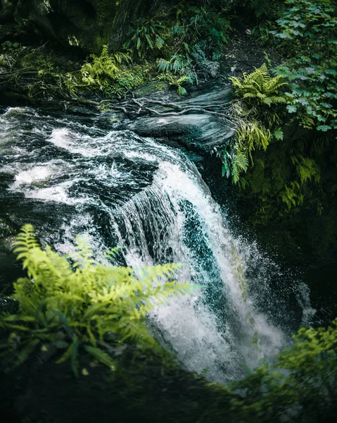 Cachoeira Floresta Partir Vista Superior Aves Olho — Fotografia de Stock