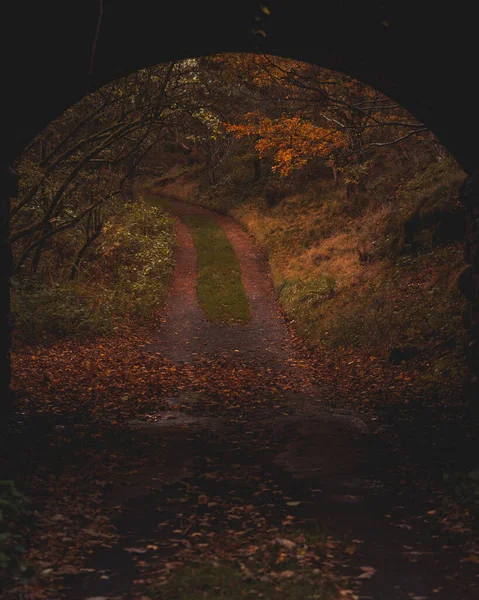 Otoño Bajo Puente — Foto de Stock