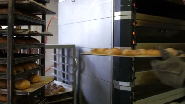 Taking bread from an industrial oven — Stock Video