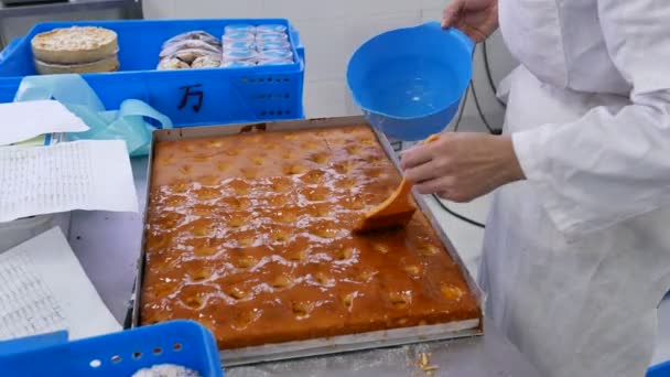 Adding Glazed Topping To A Cake Product — Stock Video