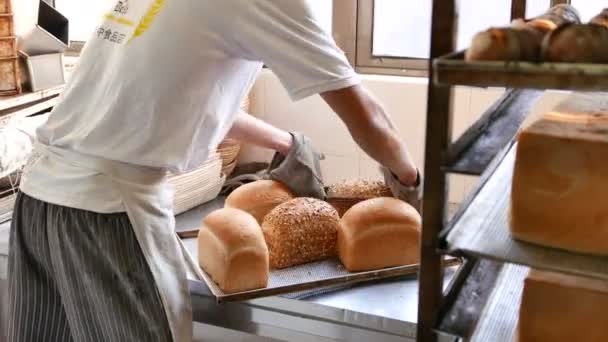 Fırından taze alınan ekmek — Stok video