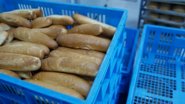 Fresh rolls and baguettes in blue crate. — Stock Video