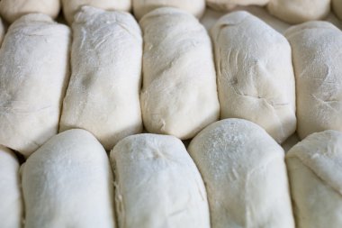 Freshly Made Bread Rolls Dough