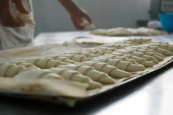 Baker poniendo cruasanes sin cocer en bandeja — Foto de Stock