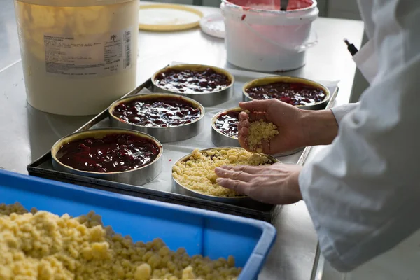 Topping pastel de queso con galletas se desmorona —  Fotos de Stock