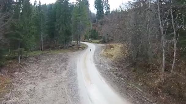 Hombre corriendo por sendero forestal — Vídeos de Stock