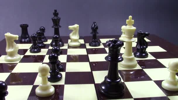 White king is checkmated — Stock Video