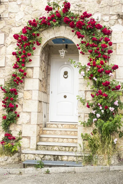 Huisdeur met rozen Rechtenvrije Stockfoto's