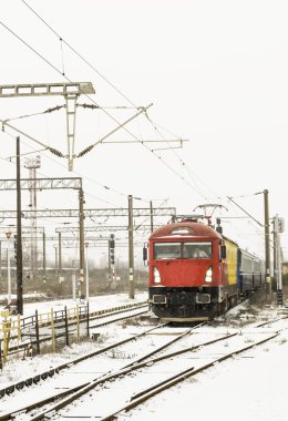 Kış tren