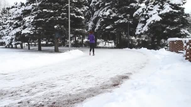 Zimowe biegaczy — Wideo stockowe