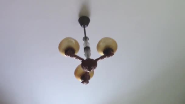 Ceiling lamp dangling from earthquake — Stock Video