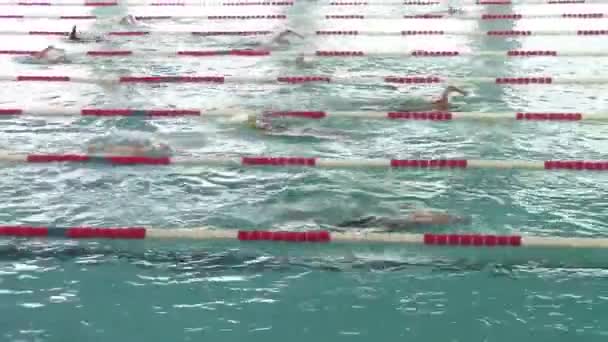 Swimmers competing — Stock Video