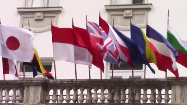 Міжнародні прапори, що махають вітром — стокове відео