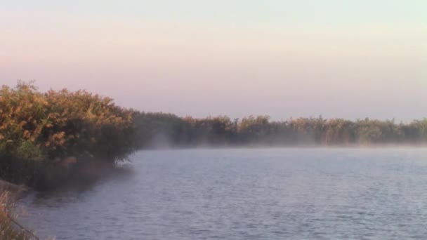 Lac de pêche dans la brume du matin — Video