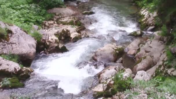 Montagna paesaggio fluviale — Video Stock