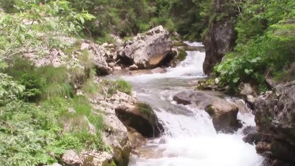 Rivière de montagne Canyon — Video