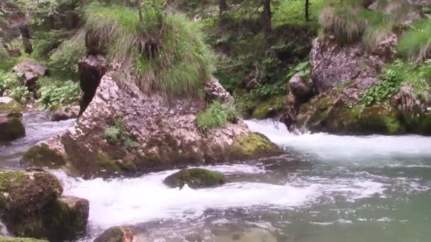 Горная река — стоковое видео