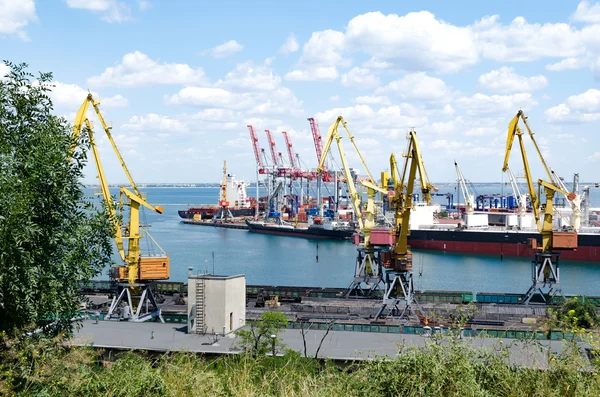 Port Industriel Pour Les Navires Avec Transport Par Conteneurs — Photo