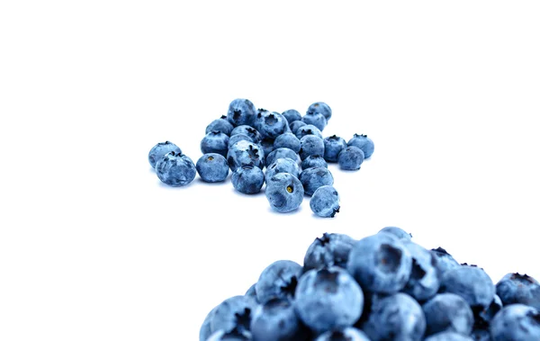 Blueberries. Berries isolated. — Stock Photo, Image