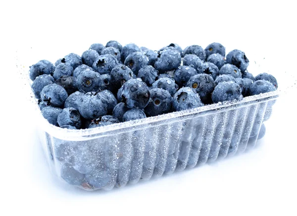 Yaban mersini. Meyveleri izole.