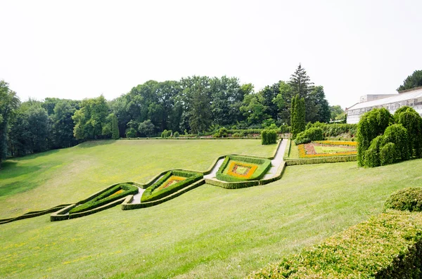 Vihreä nurmikko puistossa — kuvapankkivalokuva