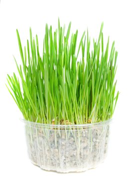 Konteyner Terminal. Endüstriyel bağlantı noktası