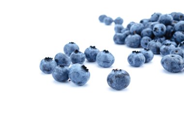 Yaban mersini. Meyveleri izole.