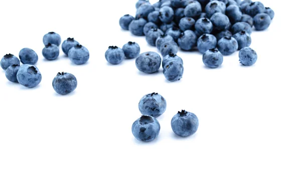 Blaubeeren. Beeren isoliert. — Stockfoto