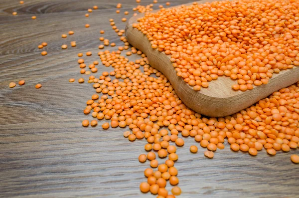 Konteyner Terminal. Endüstriyel bağlantı noktası