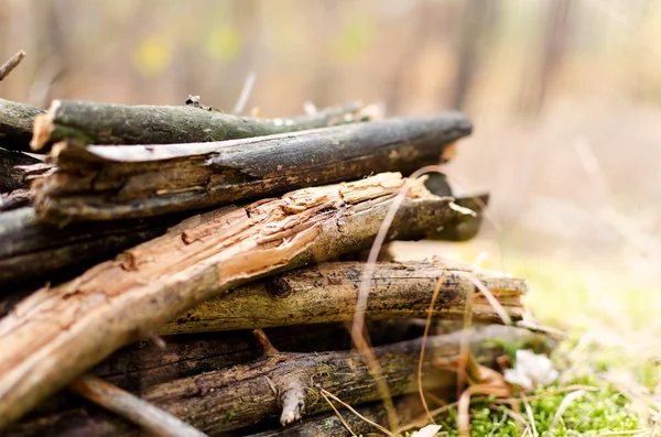 Stapel brandhout, verzameld — Stockfoto