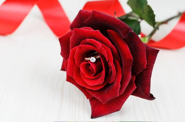 在花蕾的订婚戒指与红玫瑰 — 图库照片
