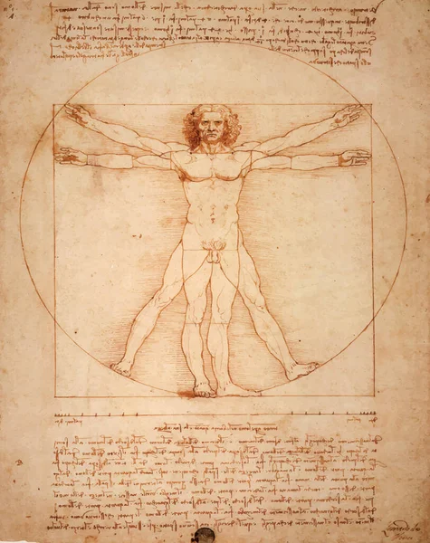 Leonardo DaVinci 'nin Vitruviano' su, Uomo Vitruviano, sepya renkleriyle gösterilmiştir.