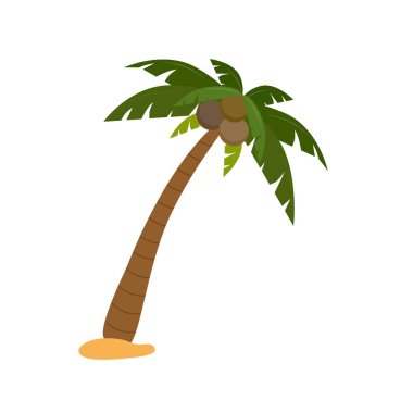Palmiye ağacı veya Hindistan cevizi ağacı karikatürü yaz mevsiminde Sahilde tropik vektör çizimlerinde.