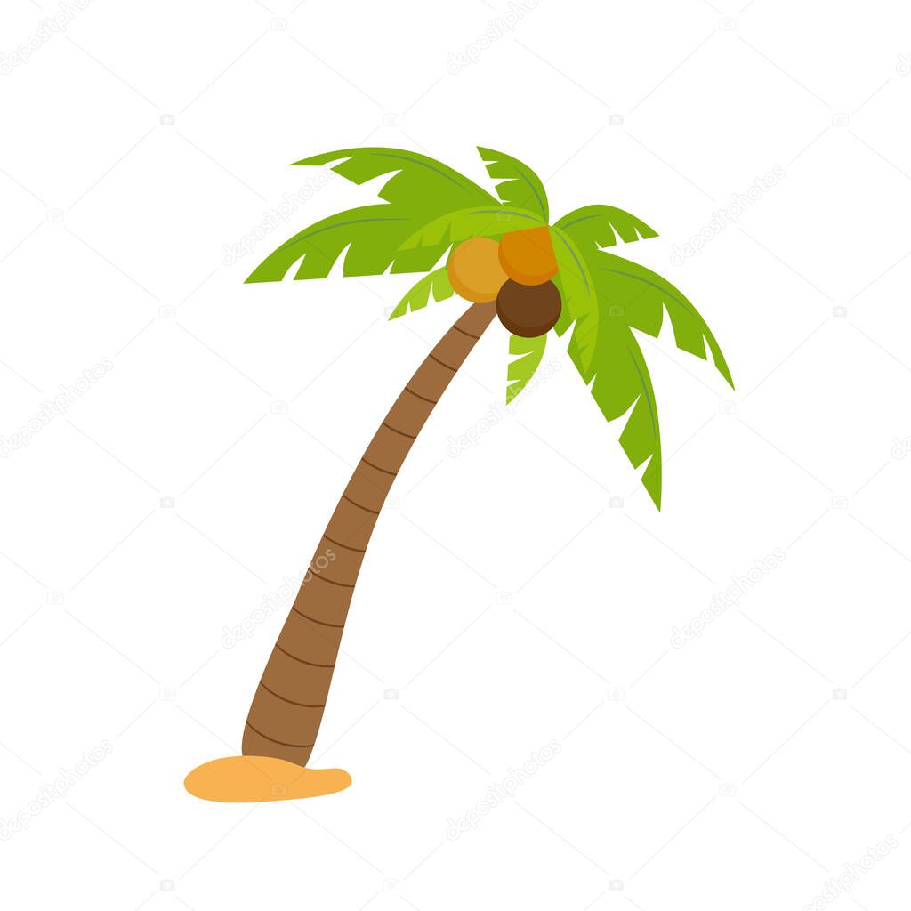 Palm tree or coconut tree cartoon image in summer On the beach Seaside tropics vector illustration.
