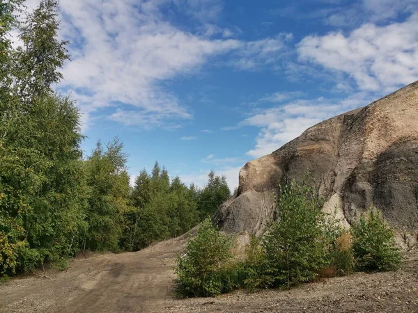 Nyírfaliget Hegy Közelében Egy Tiszta Napon — Stock Fotó