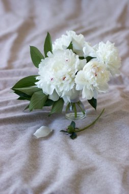 Beautiful bouquet of white peonies, Flowers in vase on light background
