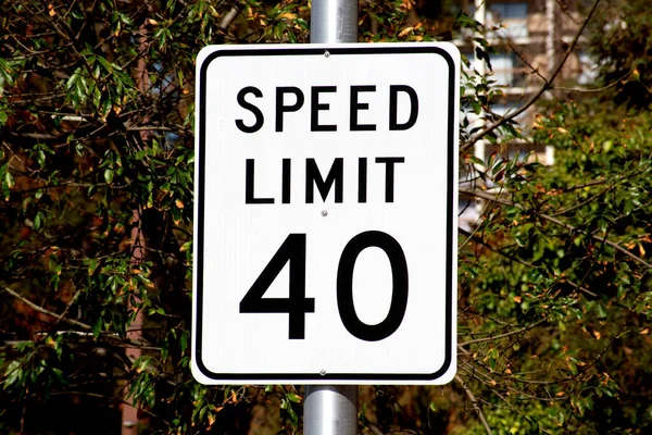 Forty mph speed limit sign on urban road. Speed zone traffic sign against tree landscape.