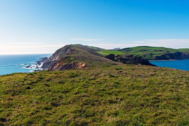 Point Reyes Burunlarının tepelerini ve kayalıklarını kaplayan kışın yeşili çimlerle kaplı Pasifik Okyanusu kıyı şeridi manzarası güneşli bir günde Point Reyes National Seashore, Kaliforniya