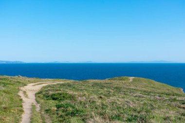 Point Reyes Burnu 'ndan Chimney Kayası' na uzanan asfaltsız yürüyüş yolu. Point Reyes National Seashore, Kaliforniya 'da uçurum ve kayalıkları kaplayan kış yeşili çimenler.