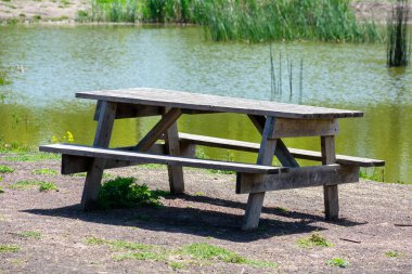 Boş ahşap piknik masası, halka açık parkta sazlıklarla kaplı sığ göletin yanına kurulmuş banklar.