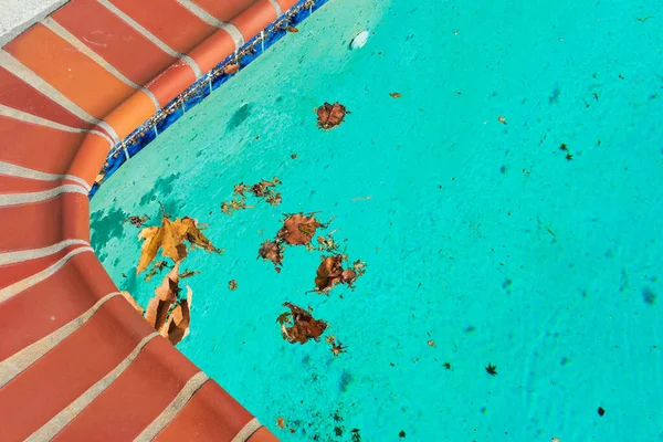 Hojas Otoño Escombros Flotando Superficie Del Agua Piscina Aire Libre —  Fotos de Stock