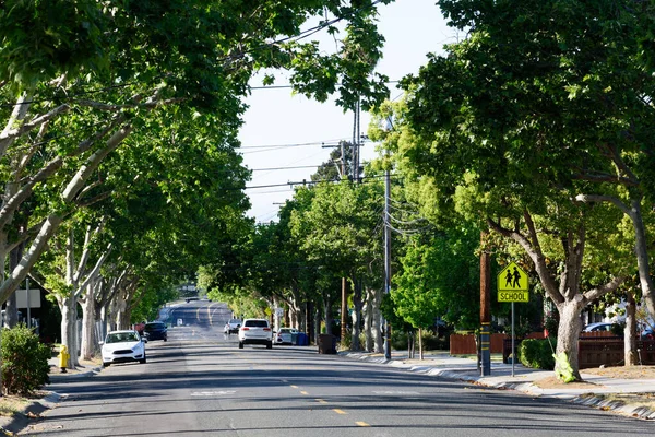Tree Lined Street Residential Neighborhood Cars Parked Front Houses School — Stock Photo, Image