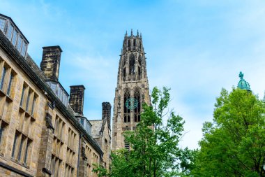 Yale Üniversitesi 'ndeki taş ustası Harkness Kulesi' ne bakıyorum. Yeşil Ağaçlar - New Haven, Connecticut, ABD - 2021