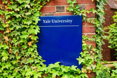 Yale University sign on brick building surrounded by green vines - New Haven, Connecticut, USA - 2021