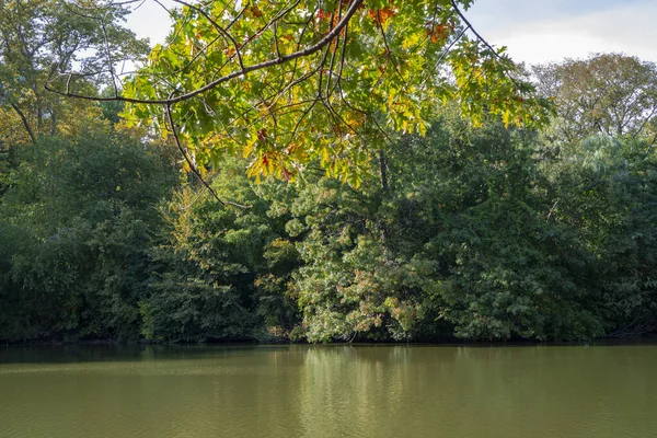 Herbst Von Bäumen Umgebener See Central Park — Stockfoto