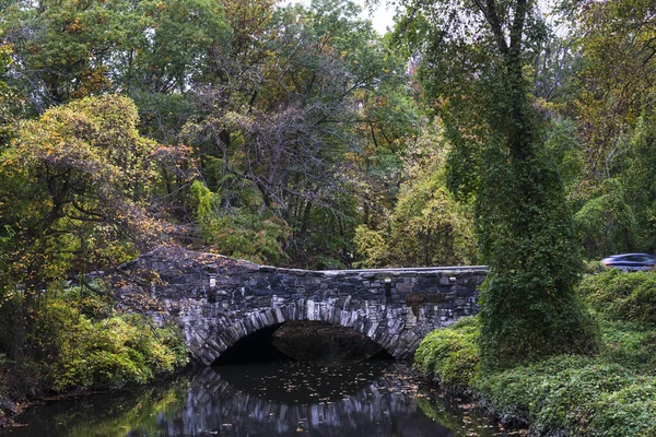 Eine Alte Steinbrücke Tiefer Waldlandschaft Herbst Spiegelung Der Brücke Ruhigem — Stockfoto