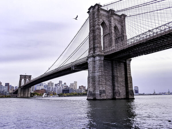New York City, NY / USA - October 26 2019: Brooklyn Bridge seen from East River promenade in Downtown Manhattan. Bird flying over the bridge.
