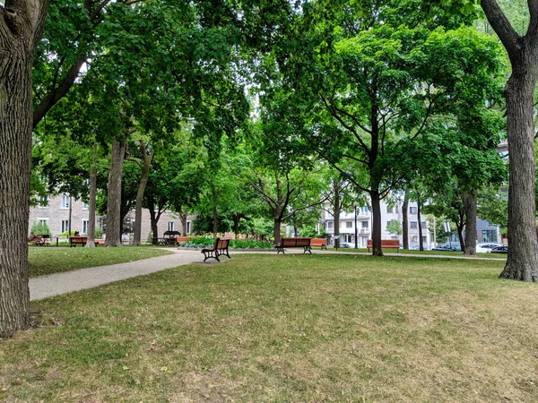 モントリオールにあるベンチ 木のある空の公園 — ストック写真